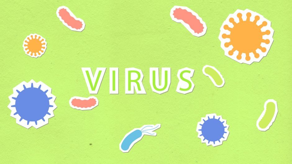 Illustrative photo: bacteria turn virus Croatia current affairs